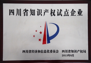 四川知識產(chǎn)權試點企業(yè)